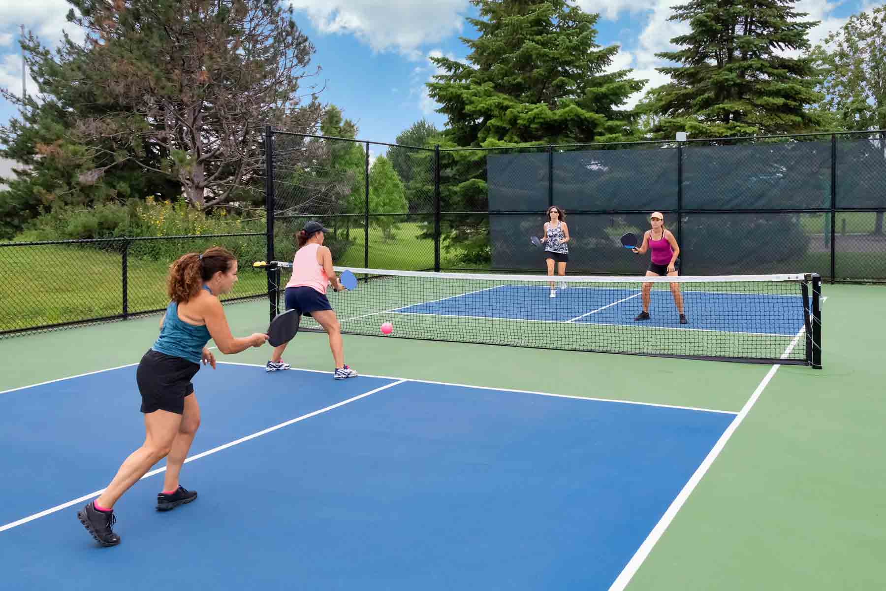 Pickleball Game